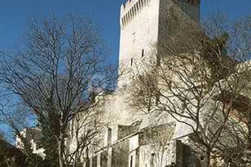 Abbaye de Montmajour