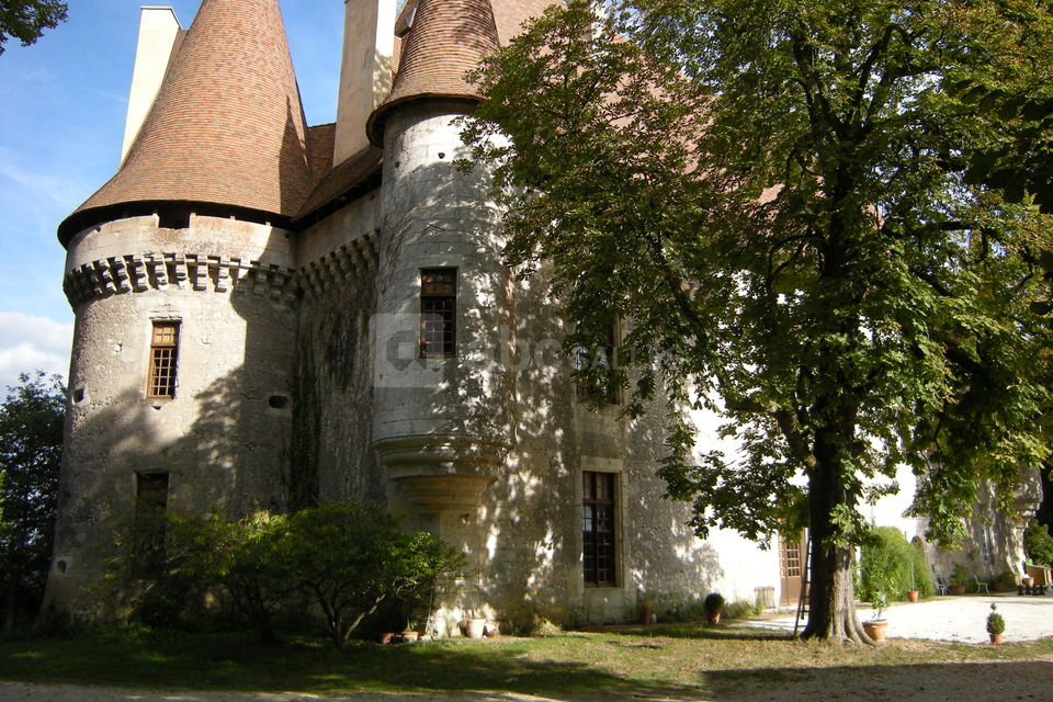 Carte postale