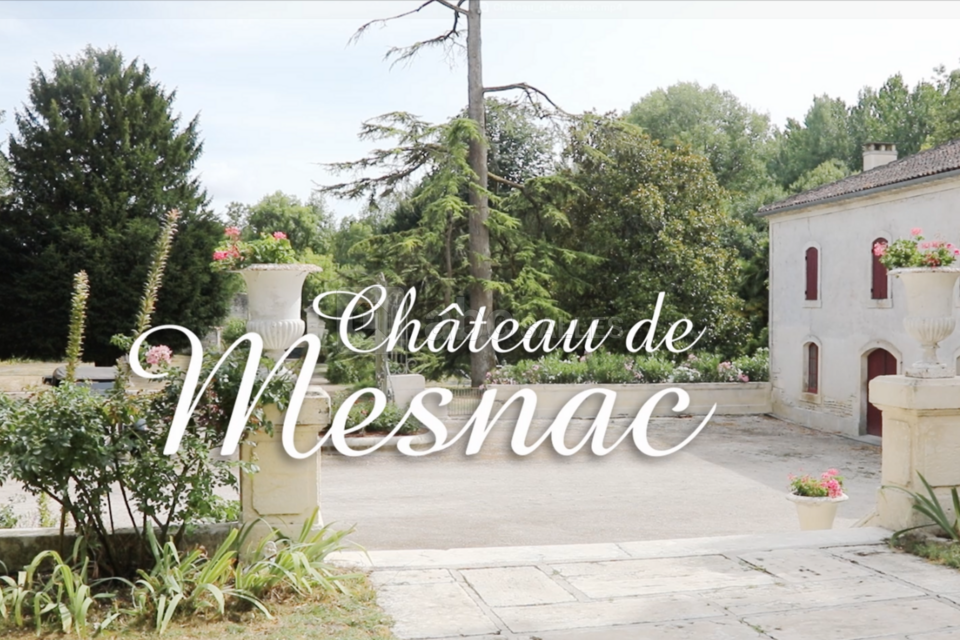 Château de Mesnac