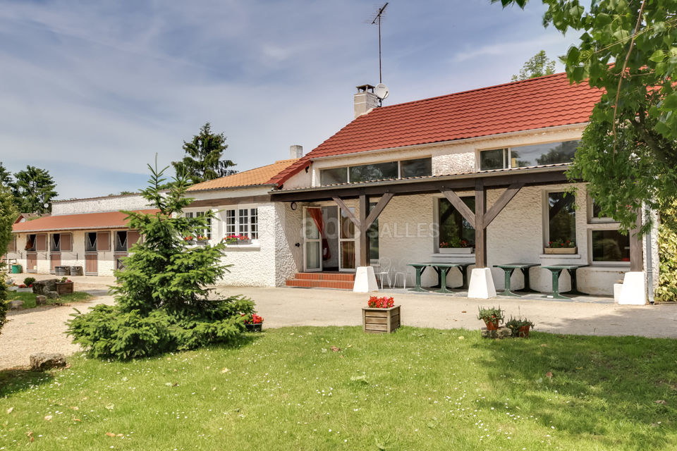 Pelouses et terrasse