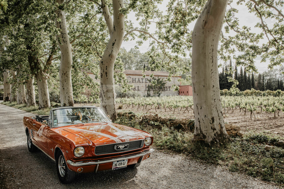 L'entrée du domaine