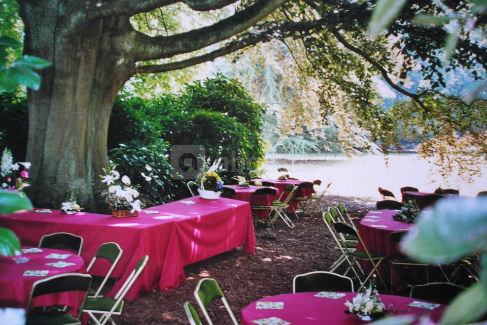 Brunch sous les arbres
