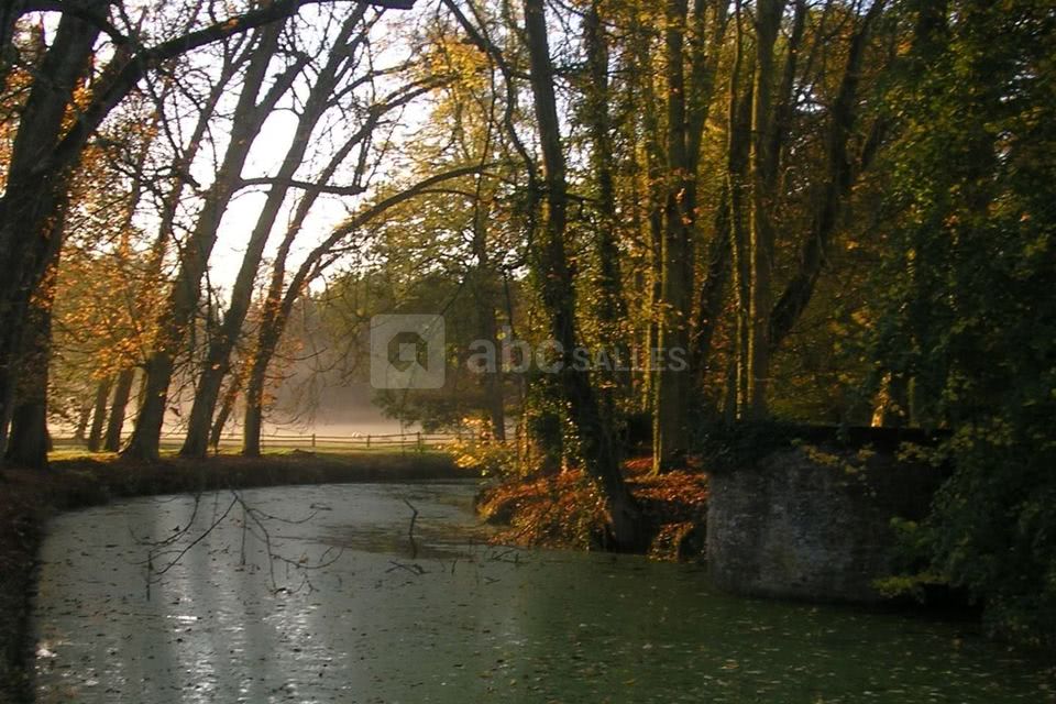 Promenade dans le parc