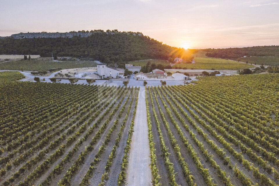 Château l'Hospitalet Wine Resort Beach Spa 5*