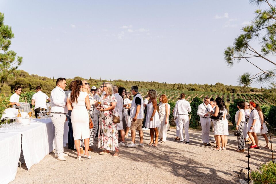 Cocktail avec vue sur les vignes à perte de vue