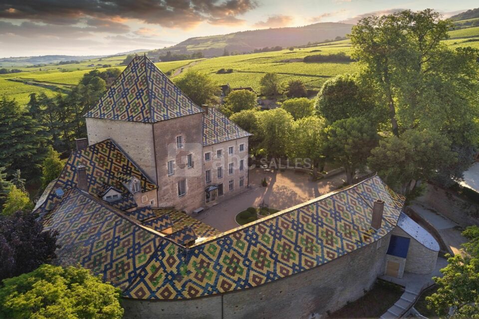 Château de Santenay