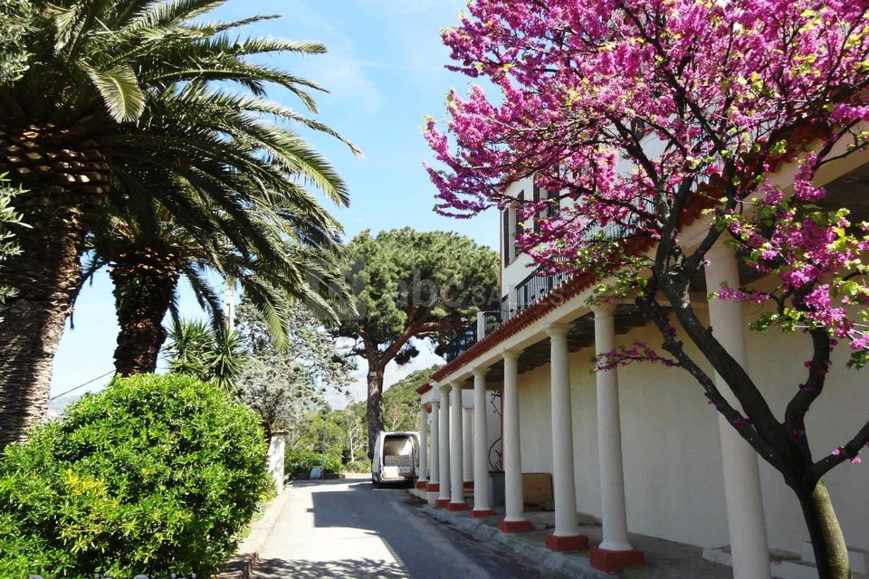 Domaine Orsini