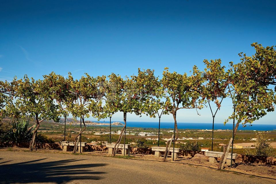 Domaine Orsini
