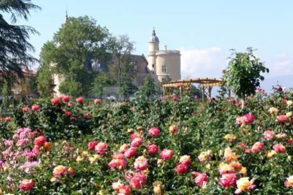 Château de Bouthéon