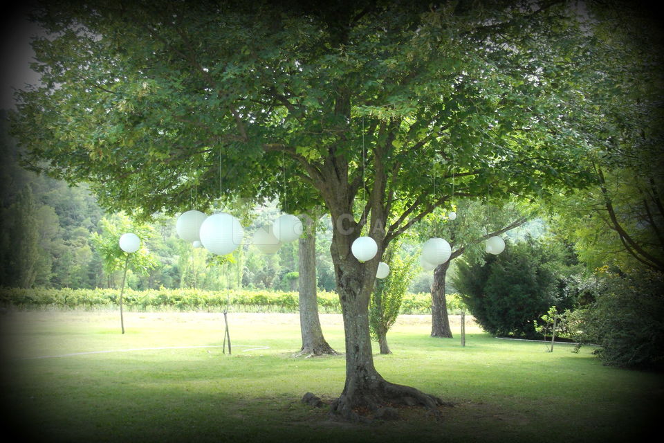 Jardins