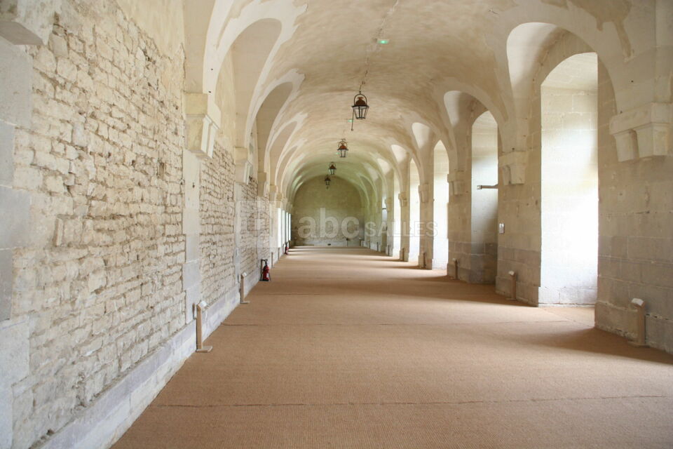 Château d'Ancy-le-Franc