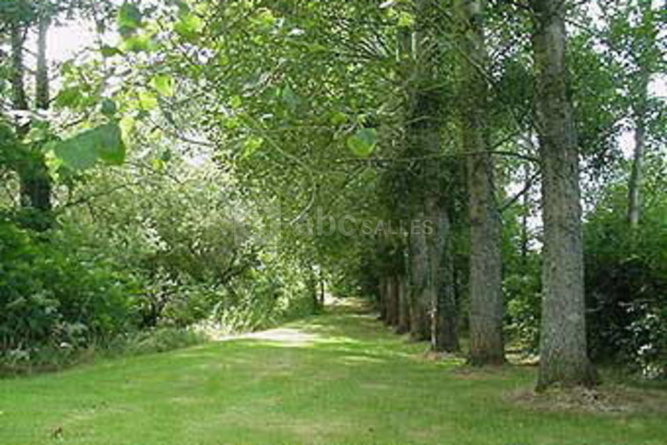 Jardin