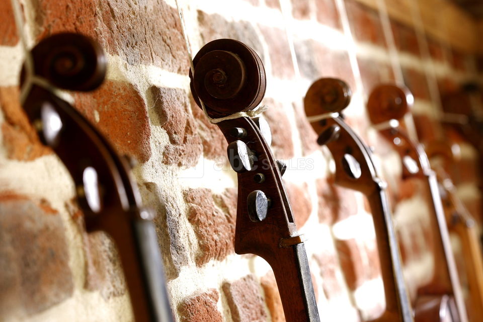 Expo estaminet les damoiselles (photo maya studio)