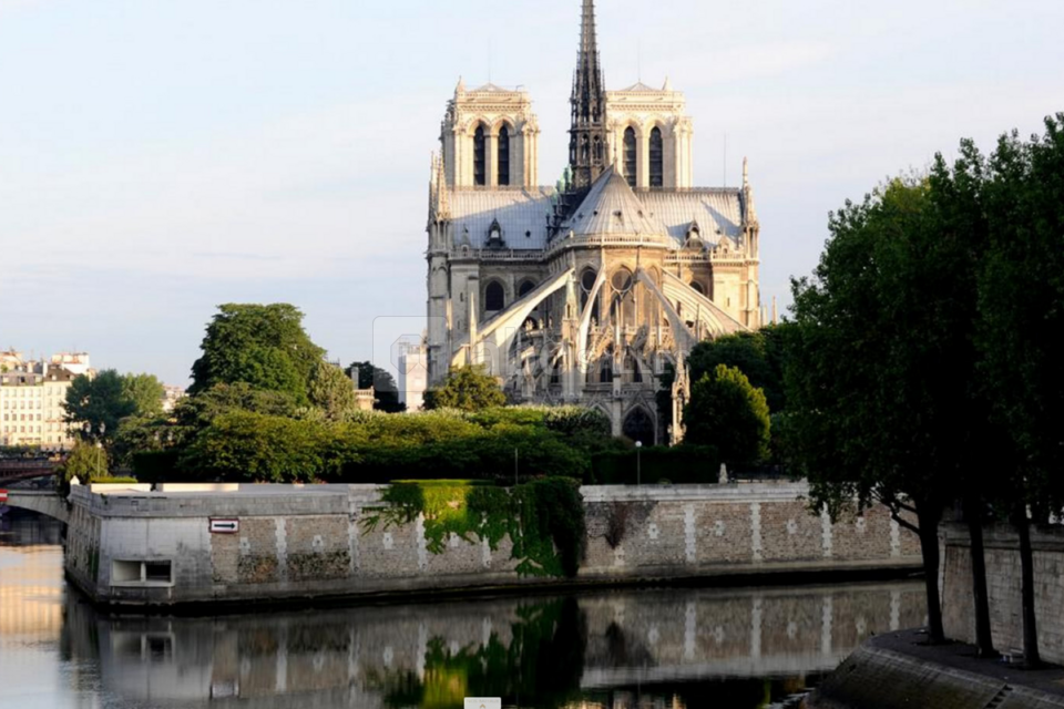 L'Acajou