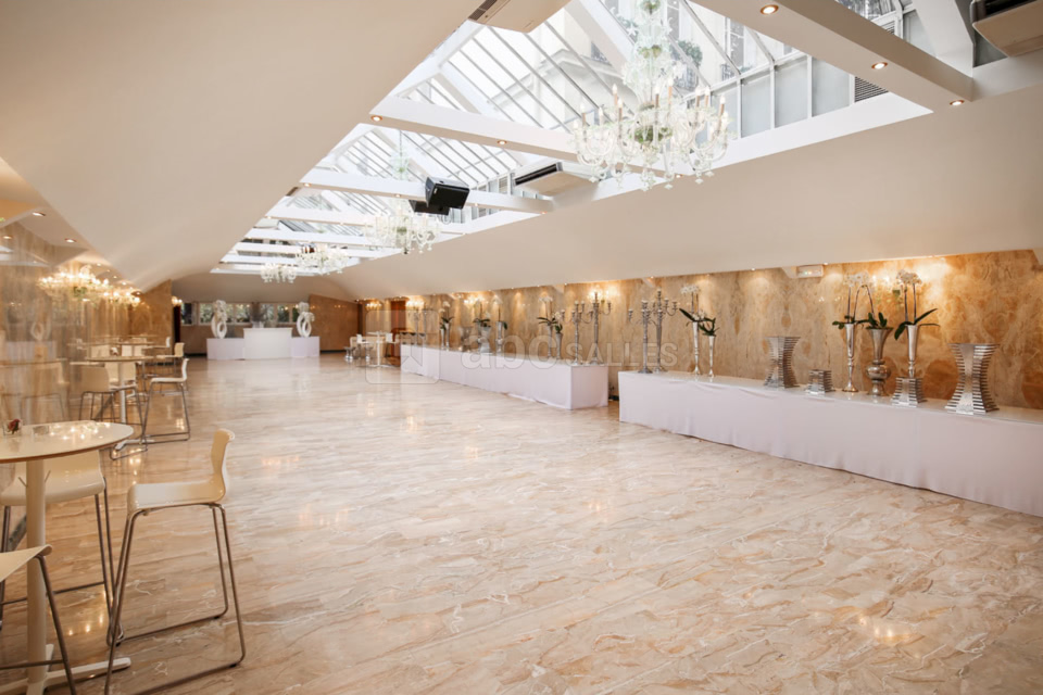 Salons Hoche Paris