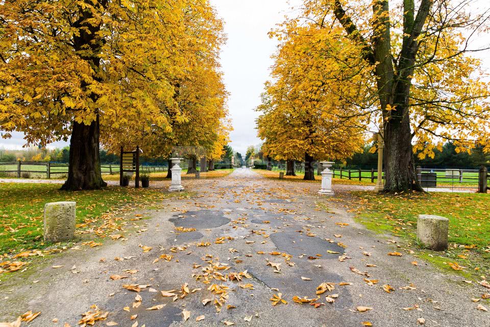 Domaine du Parc