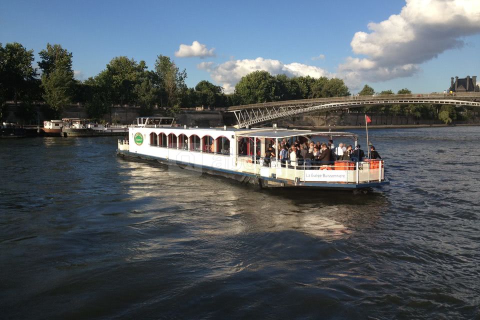 La guêpe buissonnière sur la seine
