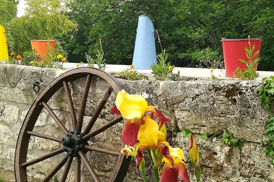 Jardin