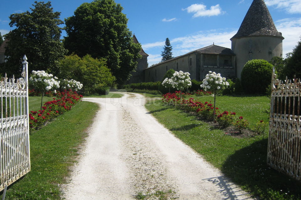 Entrée château