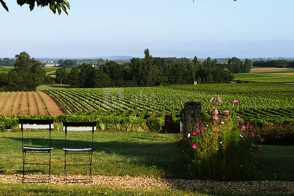 Le Clos des Pierres Blanches