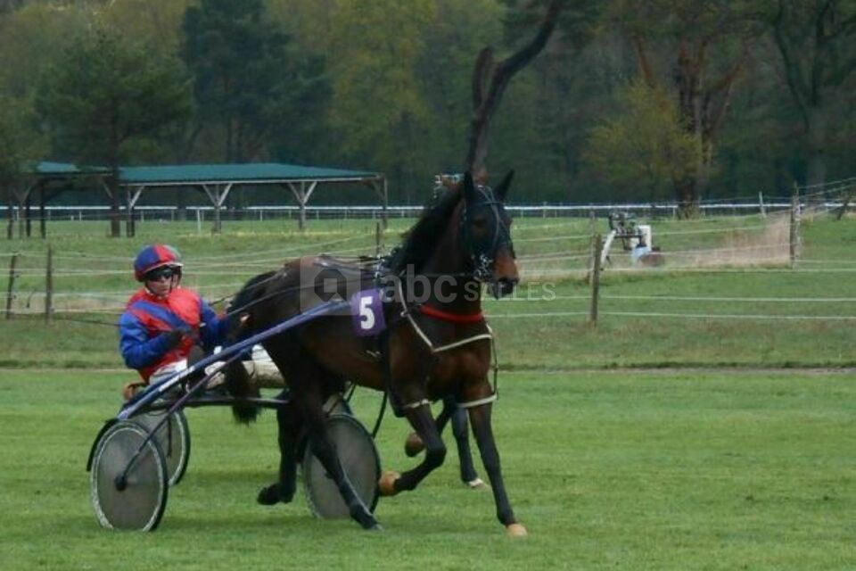 Hippodrome de Rambouillet