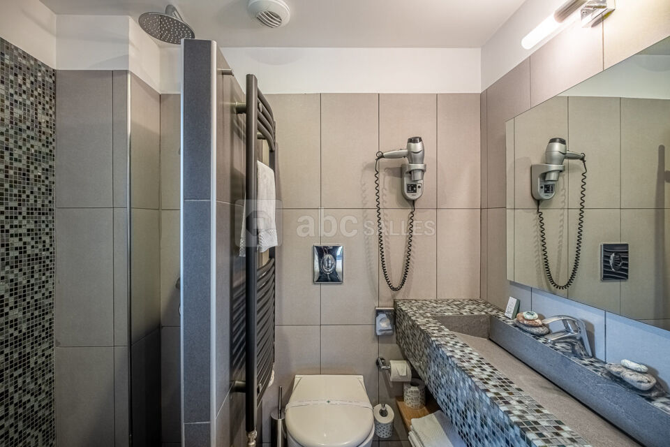 Boutique Hôtel Entraigues 4*