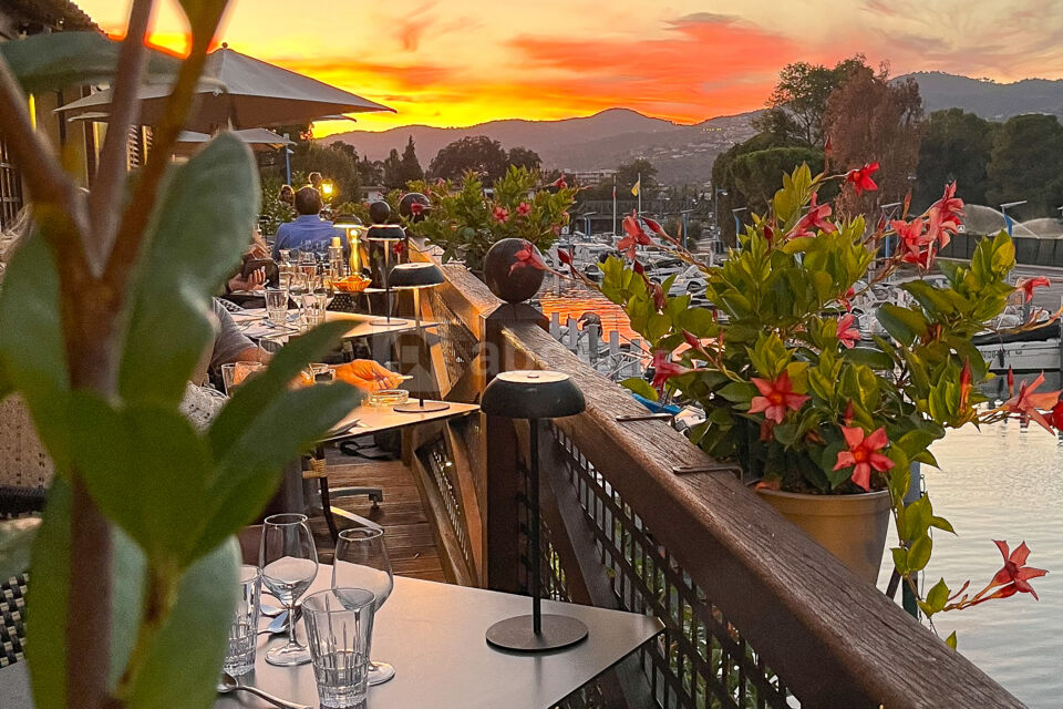 Ponton du Bistrot de Oasis