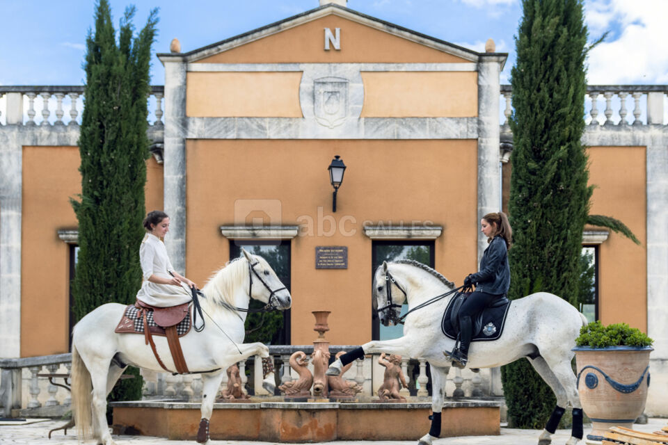 Extérieur Palazzo Napoléon