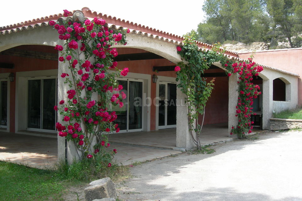 Salle cigale extérieur
