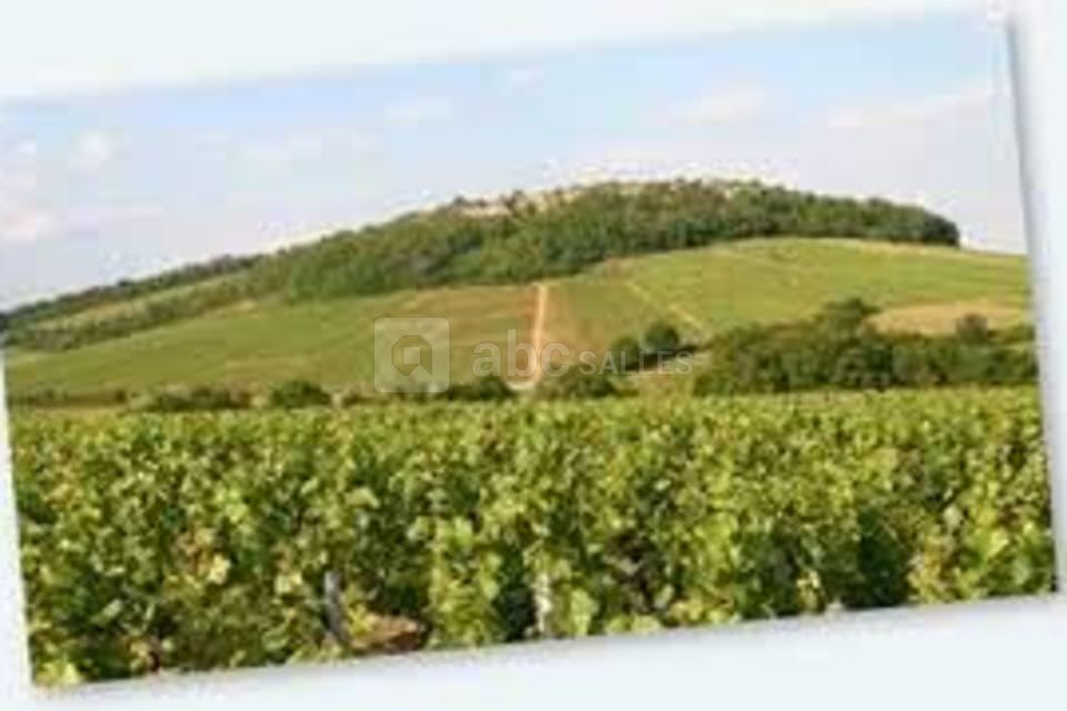 Château de Garnerot de Mercurey