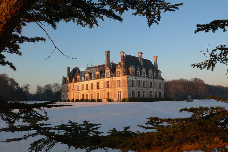 Château en hiver