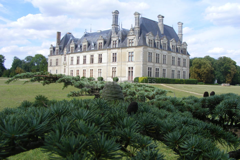 Parc & Château de Beauregard