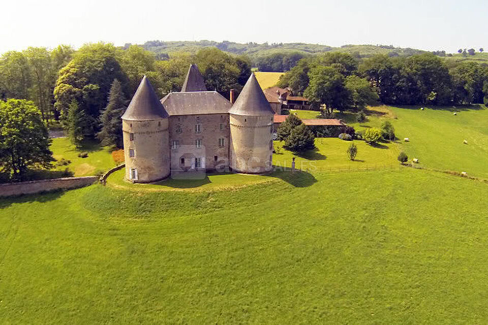 Château de Brie