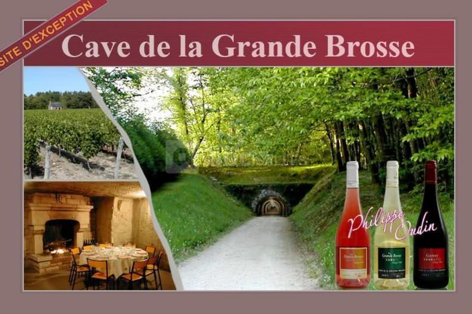 Cave de la grande brosse