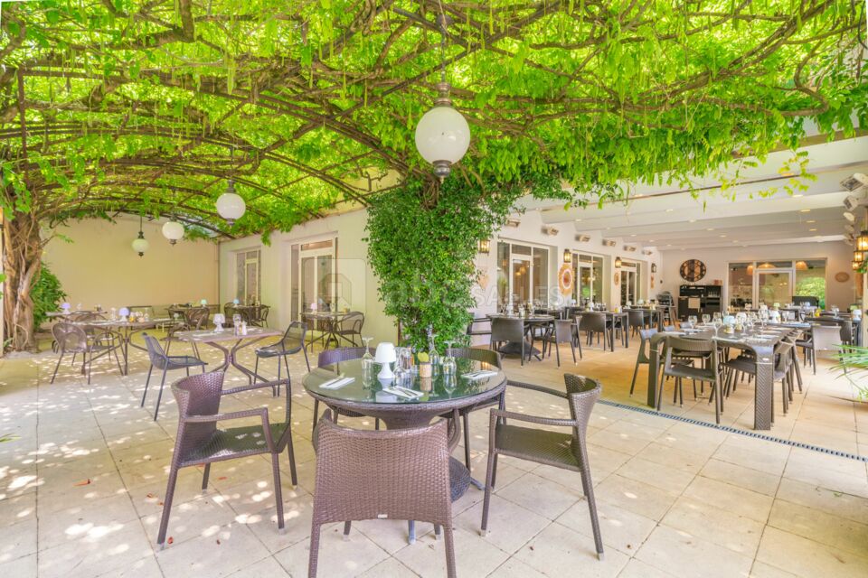 Glycine & Terrasse Couverte