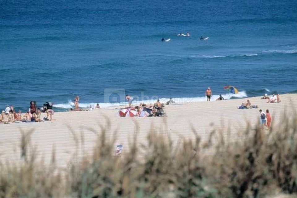 Plage de moliets
