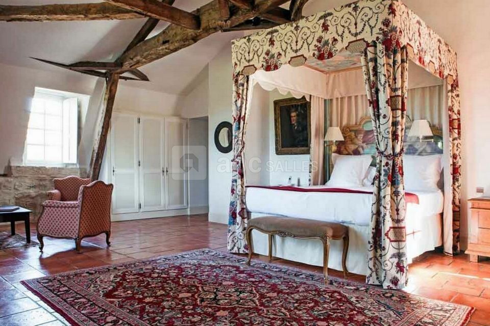 Château des Vigiers