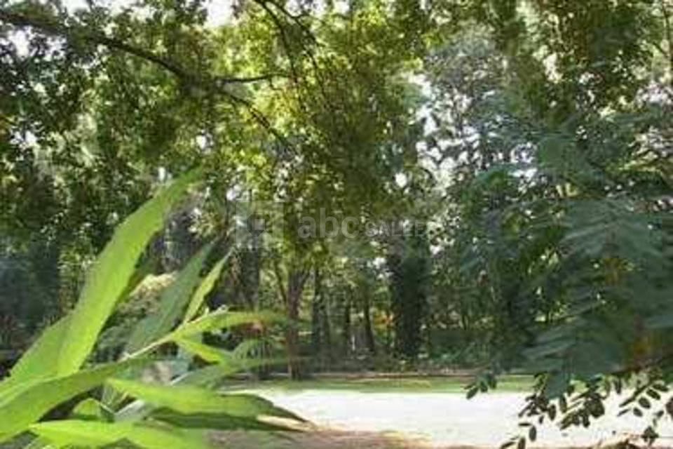 Parc