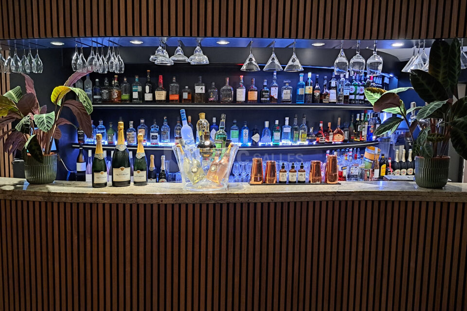 Bar bonobo