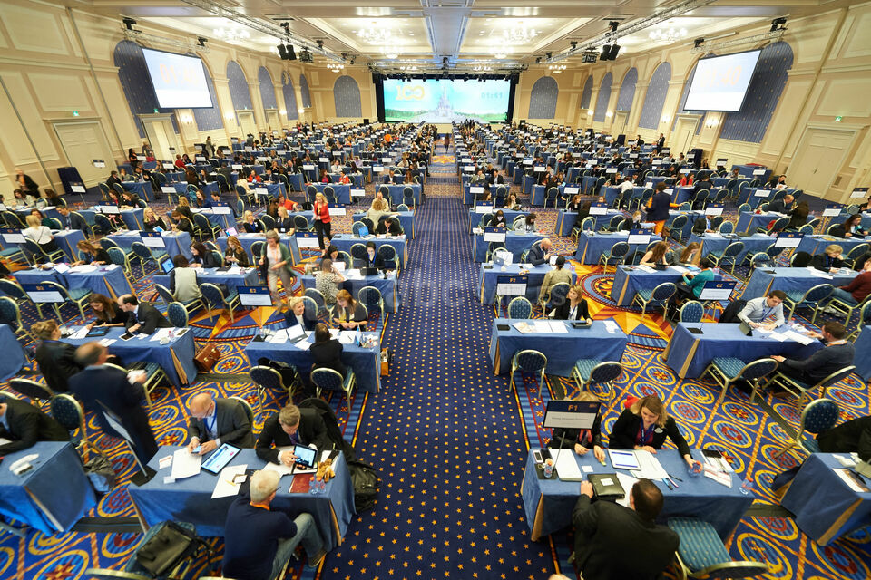 Business Solutions by Disneyland Paris