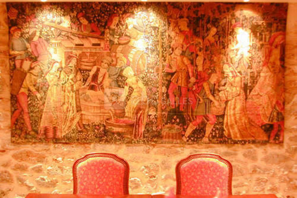 Grande salle de reunion elysees detail