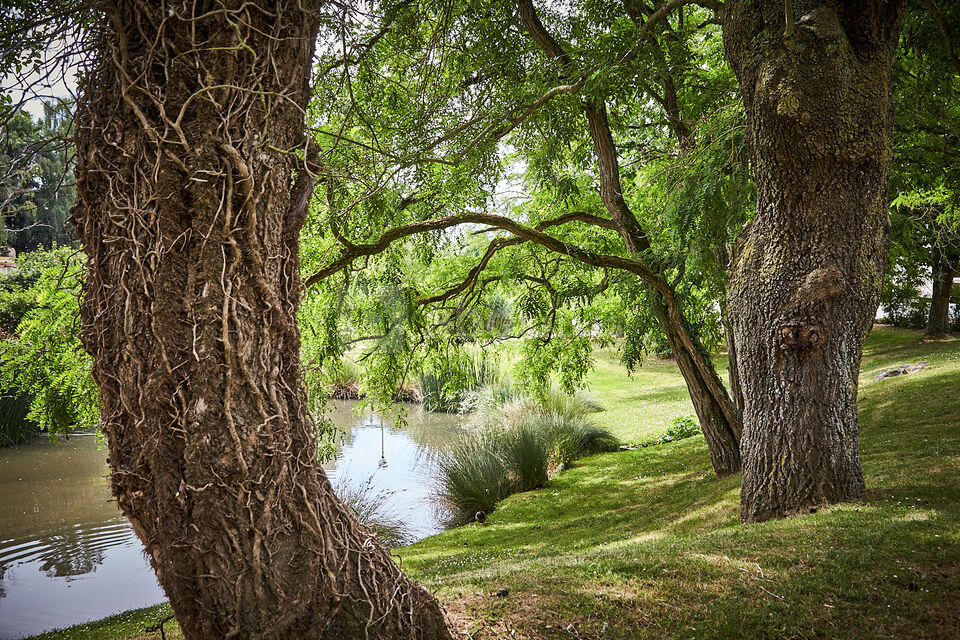 Les Jardins de l'Anjou