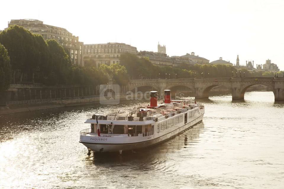Paquebot devant Pont Neuf