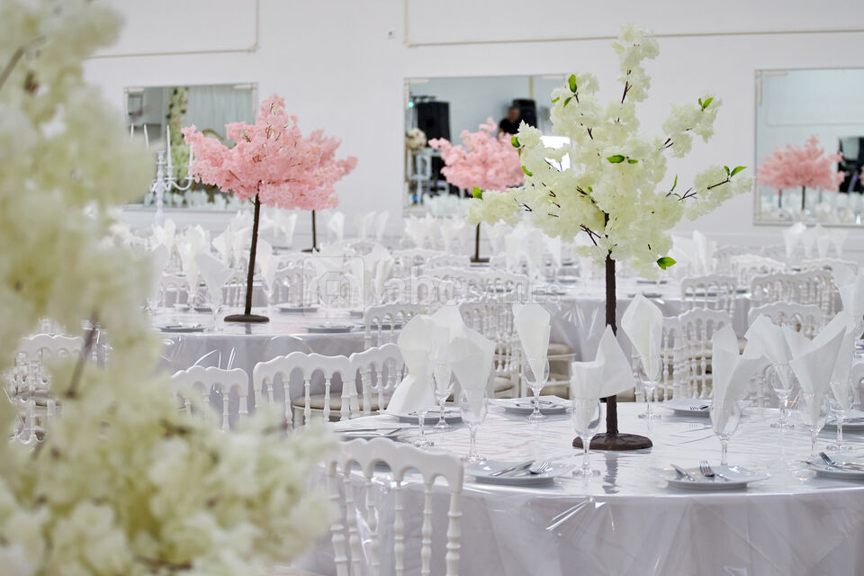 Espace Alliance - Galilée