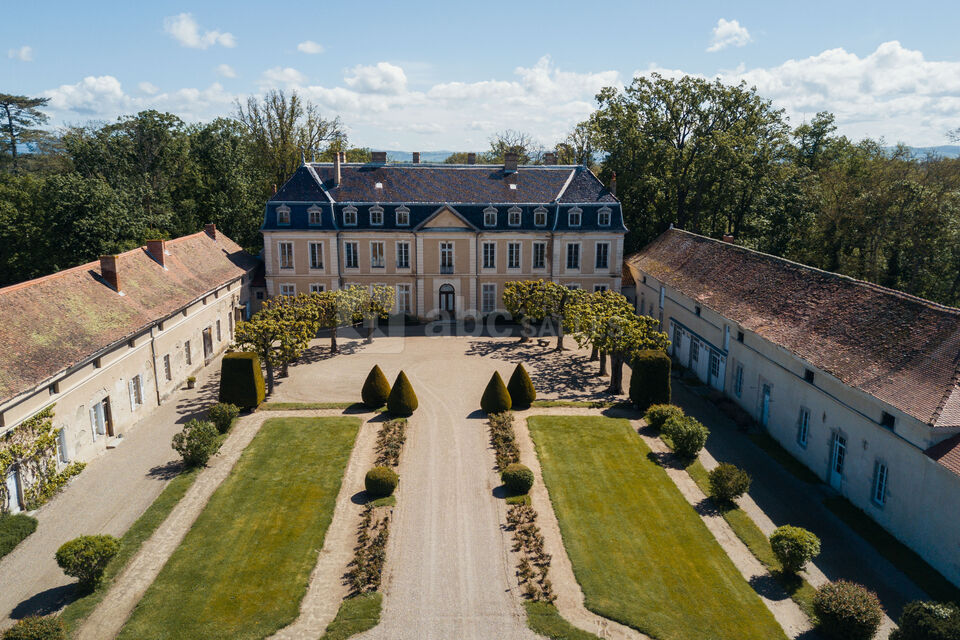 Cour avec jardin à la française