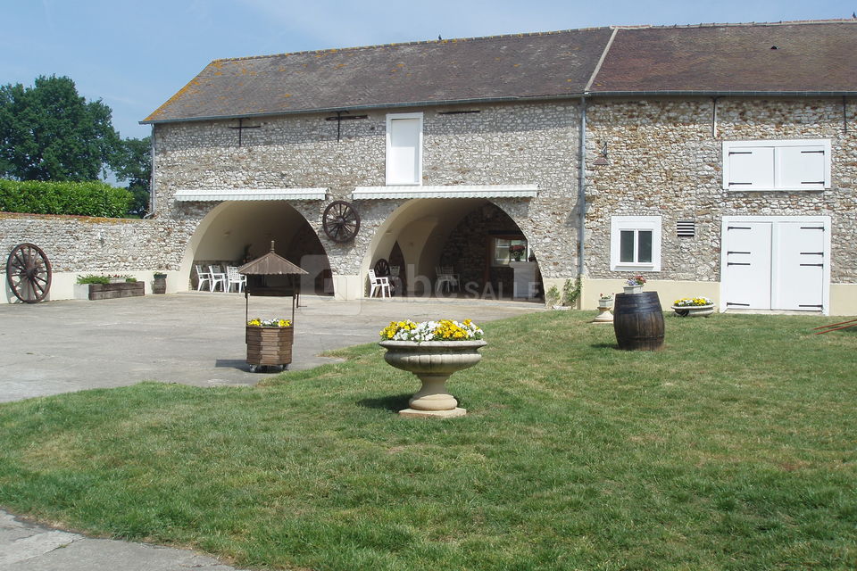 Arches pour les cocktails