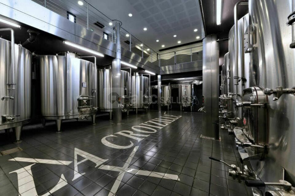 Le Cuvier