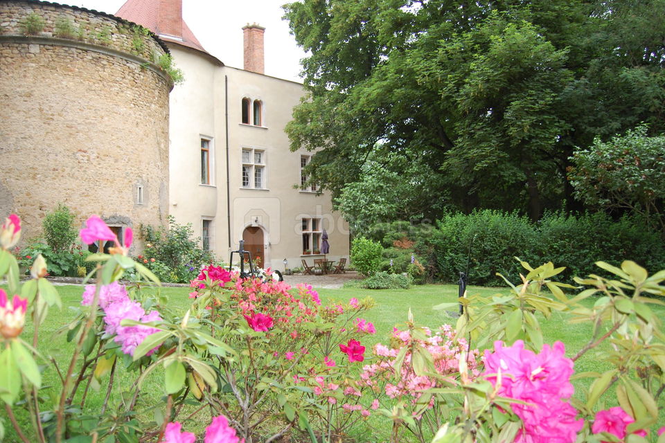Château de Morey