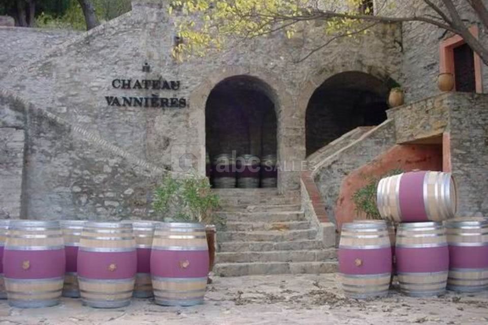 Chateau vannieres