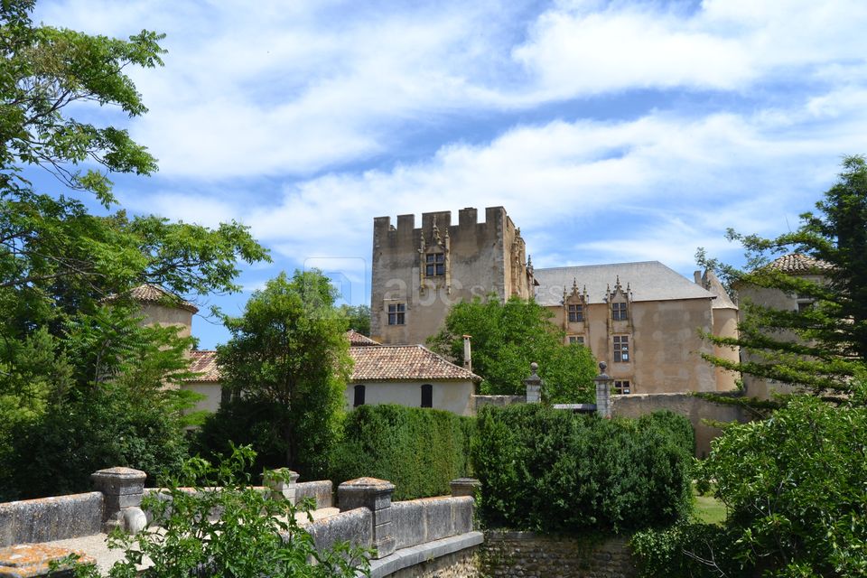 Château d'Allemagne-en-Provence